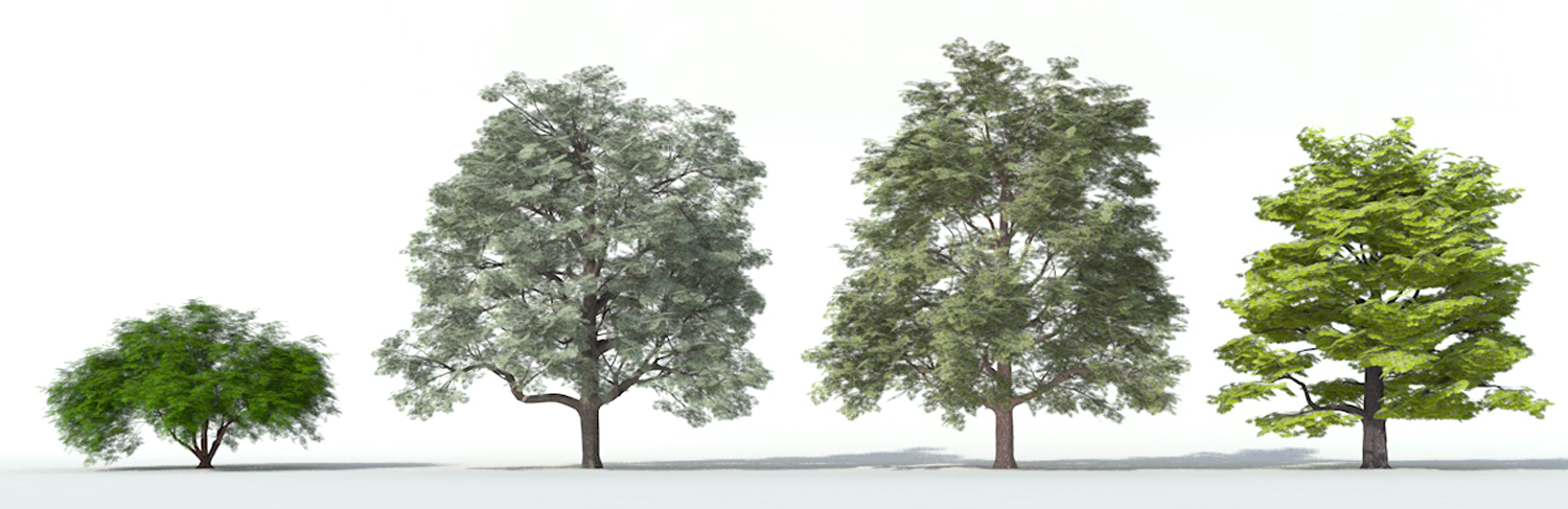 Archiradar trees collection 21